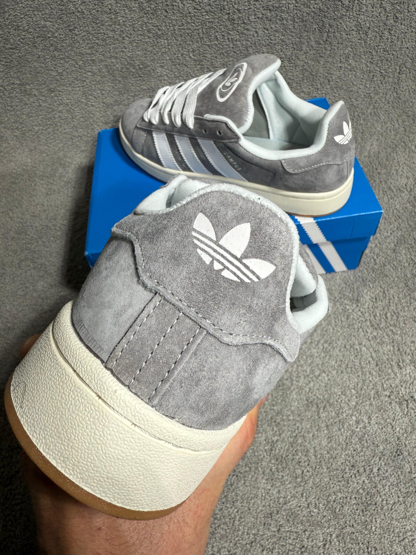 Adidas Campus Gris